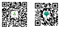 向上